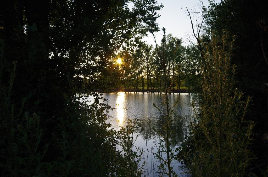 Agriturismo Scorgiano Dış mekan fotoğraf