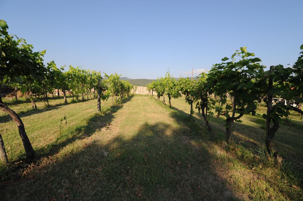 Agriturismo Scorgiano Dış mekan fotoğraf
